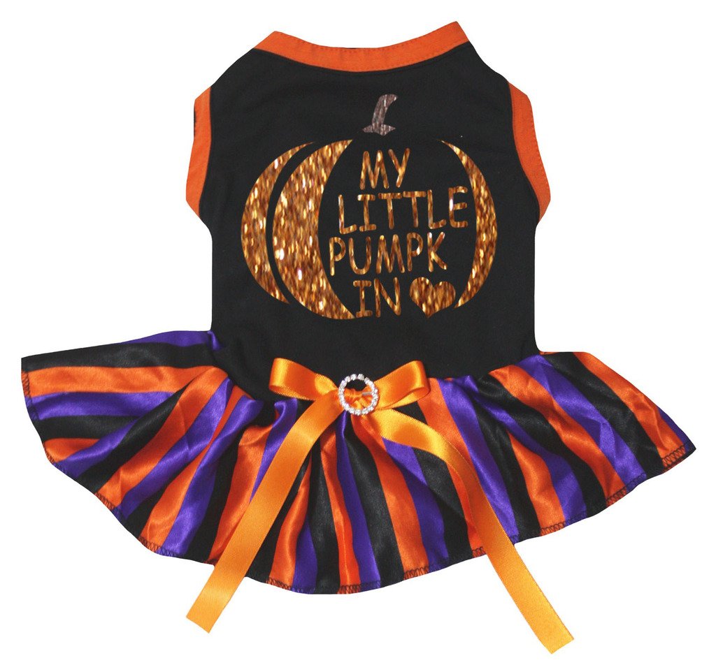 Robe chiot My Little Citrouille pour fêter Halloween en famille