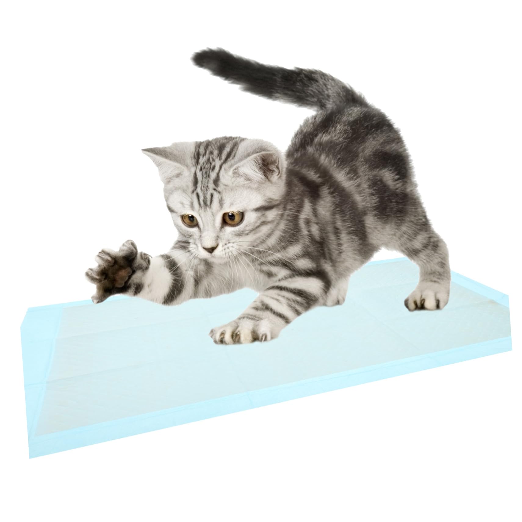 Beavorty 40pezzi Tappetini Assorbenti Per Traversine Igieniche Super Assorbenti e Impermeabili Per Addestramento e