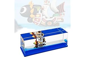 Thousand Sunny Ship Model - Non-Sinking Pirate Ship in a Bottle