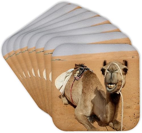 Albom diseño AnimalesSmiling descansando en Bedouin Camp de camellos en Omán Foto por Rhonda AlbomPosavasos