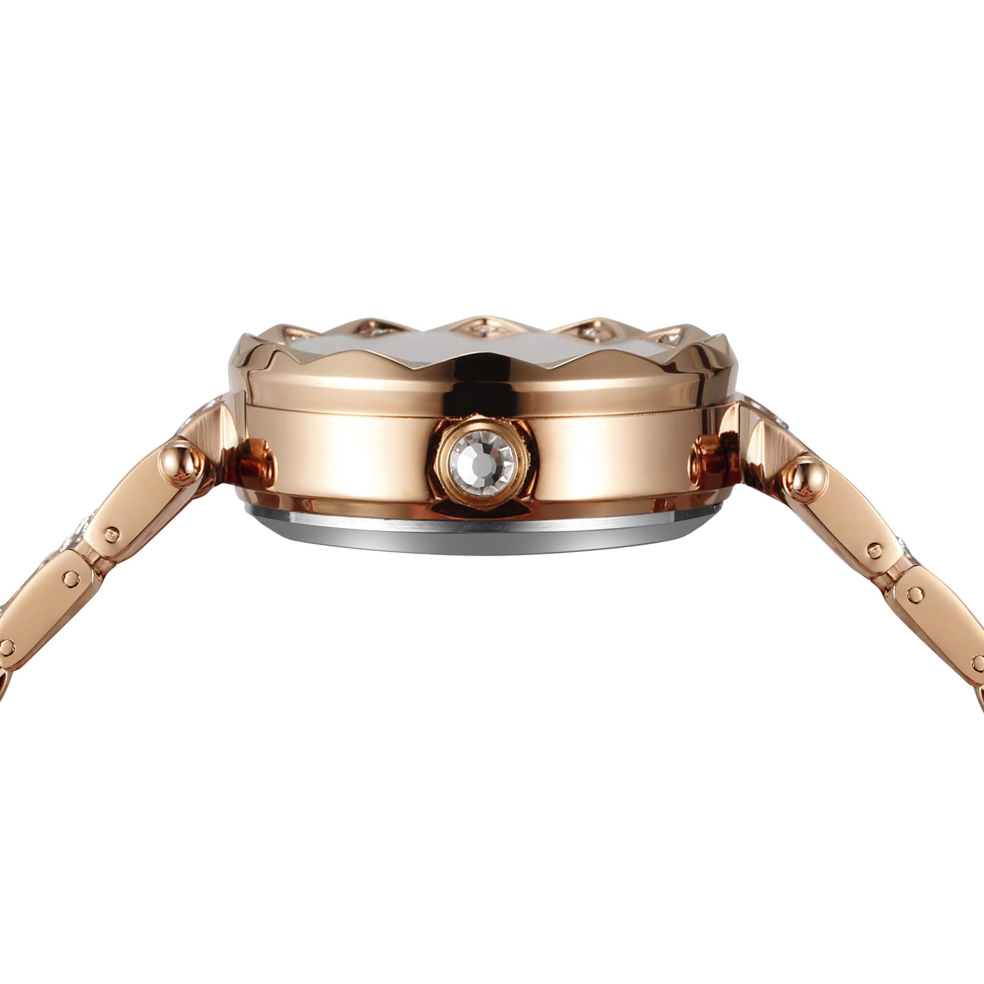 FORSINING Damen Stilvolle Analog Zifferblatt Automatische Skelett Uhr mit Edelstahl Armband