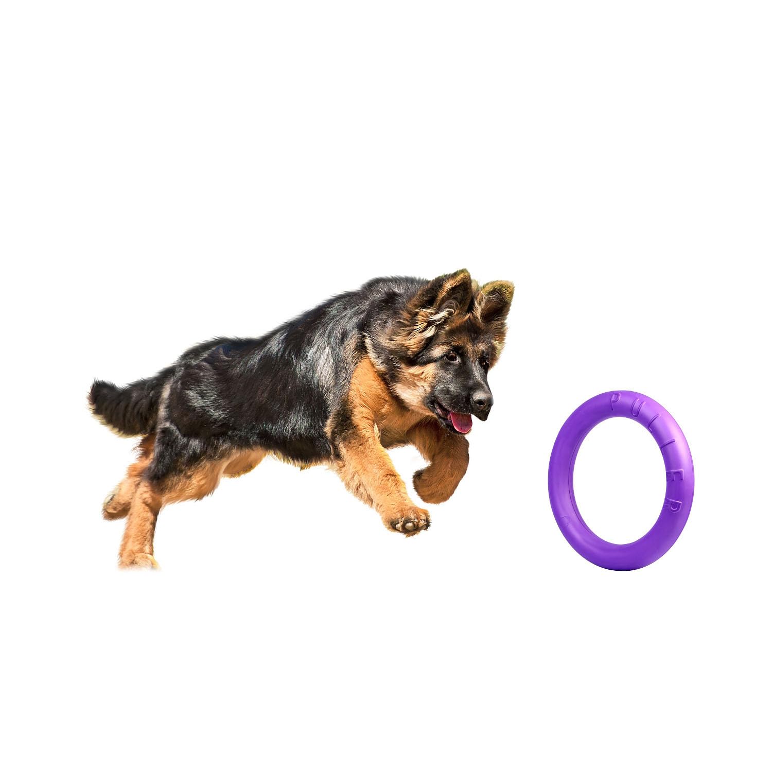 Puller Standard, 2 unidades, anillos de juego, dispositivo de fitness para perros, juguete interactivo para perros, juguetes acuáticos, juguetes de lanzamiento, 28 x 4 cm