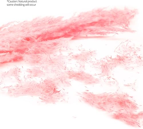 Miniatura 34 de Koyal Wholesale Plumas decorativas de hierba de las pampas secas reales, 28-32 pulgadas, color crema natural, a granel de 96 piezas de tallos de