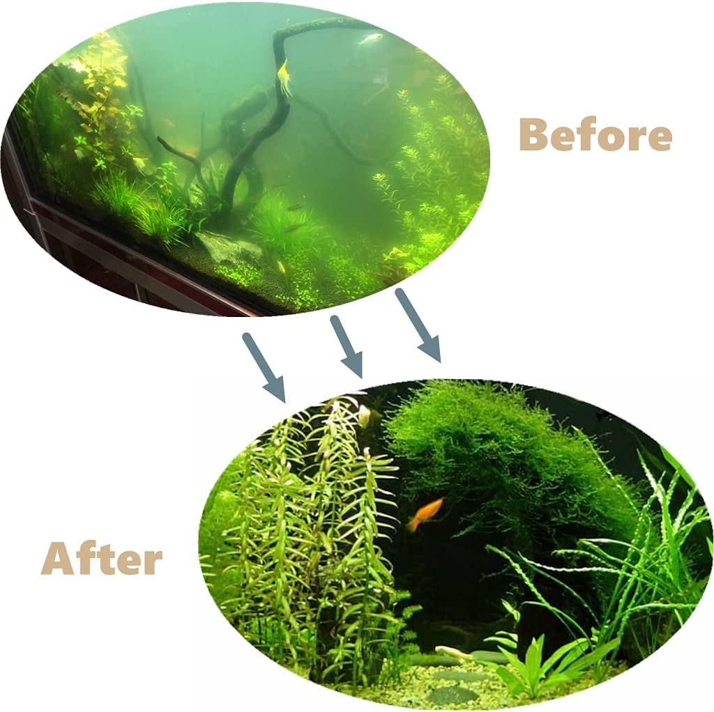 6 Pièces Outil Aquarium en Acier Inoxydable,Kits pour Aquariophile Débutant,Plante Aquatique Outils,Tweezers,Scissors,Spatula et Papier PH Tool,Aquarium Starter Set pour Aquarium Débutant