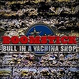 Bull In A Vachina Shop