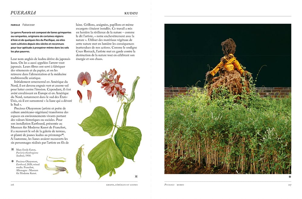 Le fabuleux langage des plantes - Art, nature & symbolisme