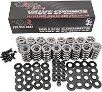 BTR LS .660" Dual Valve Springs Platinum Kit SK001 with Steel Retainers - High-Performance for LS1 LS3 L92 Builds