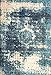nuLOOM Vintage Lindsy Area Rug, 6x9, Blue