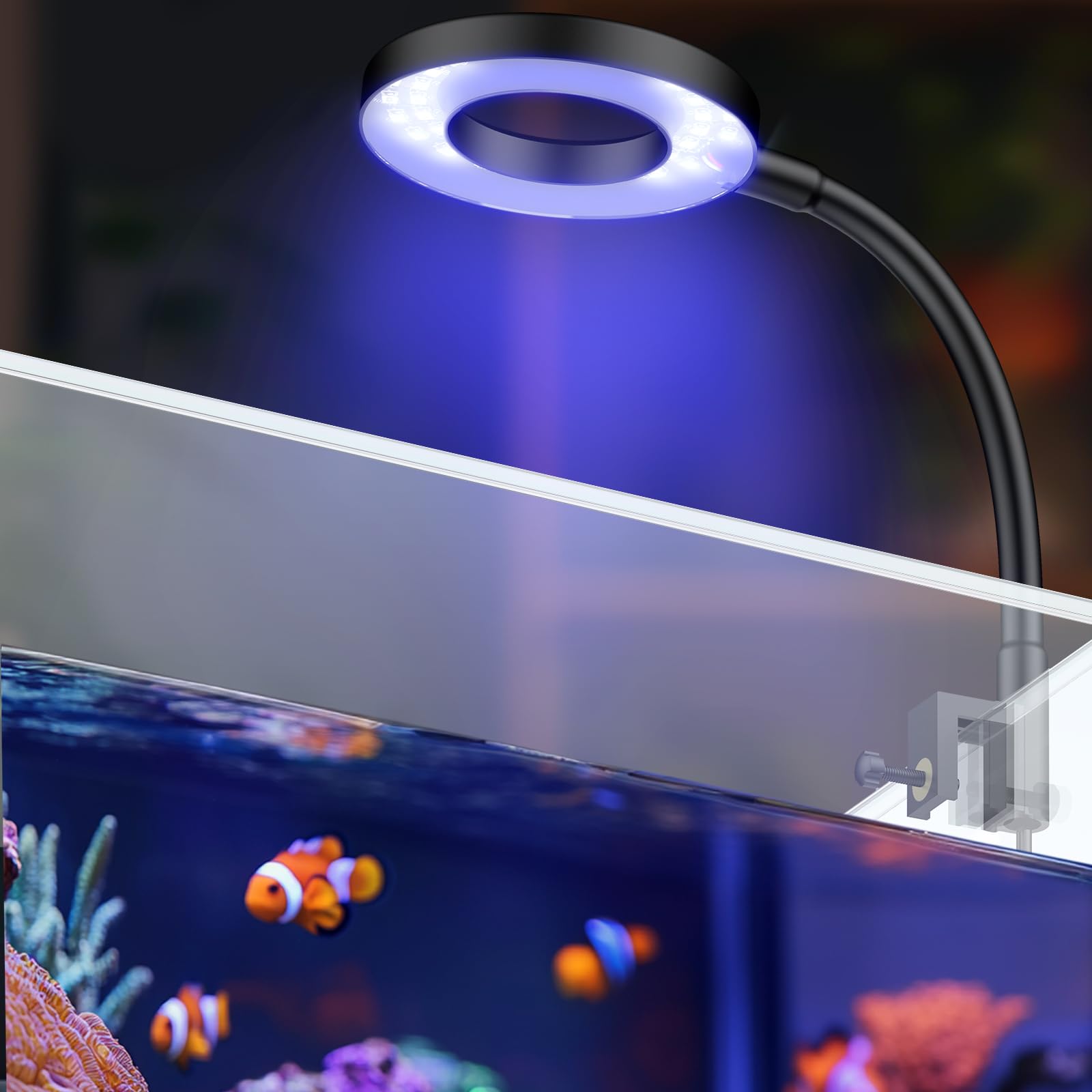 Pawfly 6 W Saltwater Aquarium Light for 3.8-11.4 L Fish Tanks Clip On LED Reef Light for Corals Dimmable LED Aquarium Light USB Moving Marine Fish Tank Light with Timer (Adapter Not Included)