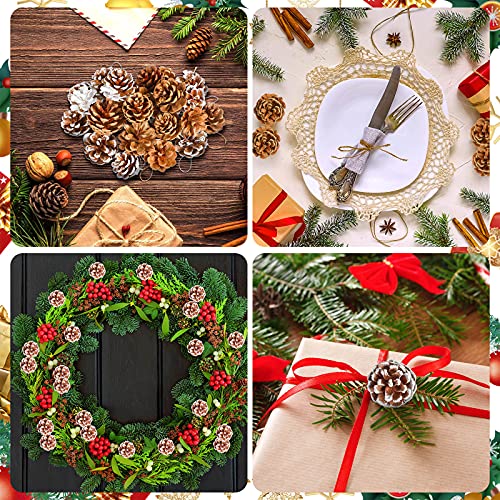 24 Pcs Christmas Pine Cones Ornaments Pinecones Fall Tree Ornaments Rustic Christmas Ornaments For Tree Snow Pinecone Ornaments Mini Bulk Pinecones With String For Home Xmas Decor (White, Natural) #TOP2