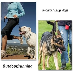 Leather-Dog-Leash-4ft-x-34-inch-Heavy-Duty-Dog-Leash-Strong-Sturdy-Genuine-Leather-Braided-Dog-Leash-Soft-and-Comfortable-Leather-Leash-for-Large-Medium-and-Small-Dogs-Training - Cucciolini Doodles Leather-Dog-Leash-4ft-x-34-inch-Heavy-Duty-Dog-Leash-Strong-Sturdy-Genuine-Leather-Braided-Dog-Leash-Soft-and-Comfortable-Leather-Leash-for-Large-Medium-and-Small-Dogs-Training