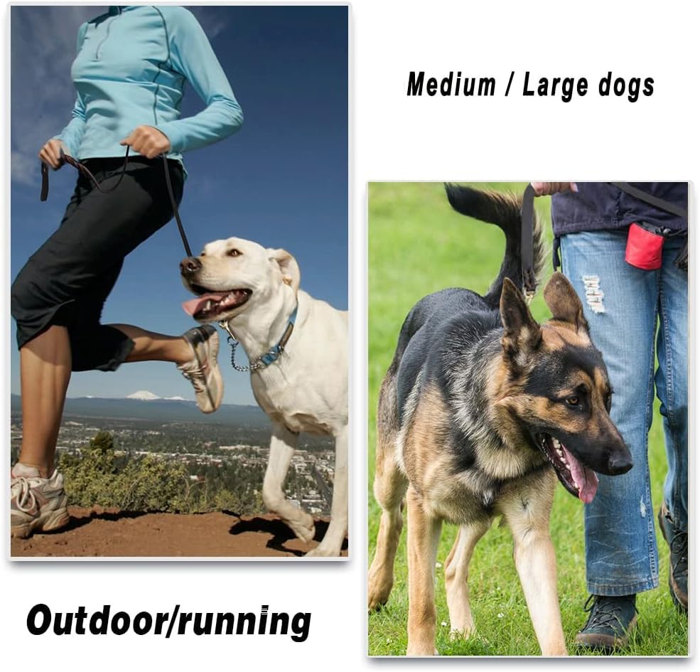 Leather-Dog-Leash-4ft-x-34-inch-Heavy-Duty-Dog-Leash-Strong-Sturdy-Genuine-Leather-Braided-Dog-Leash-Soft-and-Comfortable-Leather-Leash-for-Large-Medium-and-Small-Dogs-Training - Cucciolini Doodles Leather-Dog-Leash-4ft-x-34-inch-Heavy-Duty-Dog-Leash-Strong-Sturdy-Genuine-Leather-Braided-Dog-Leash-Soft-and-Comfortable-Leather-Leash-for-Large-Medium-and-Small-Dogs-Training