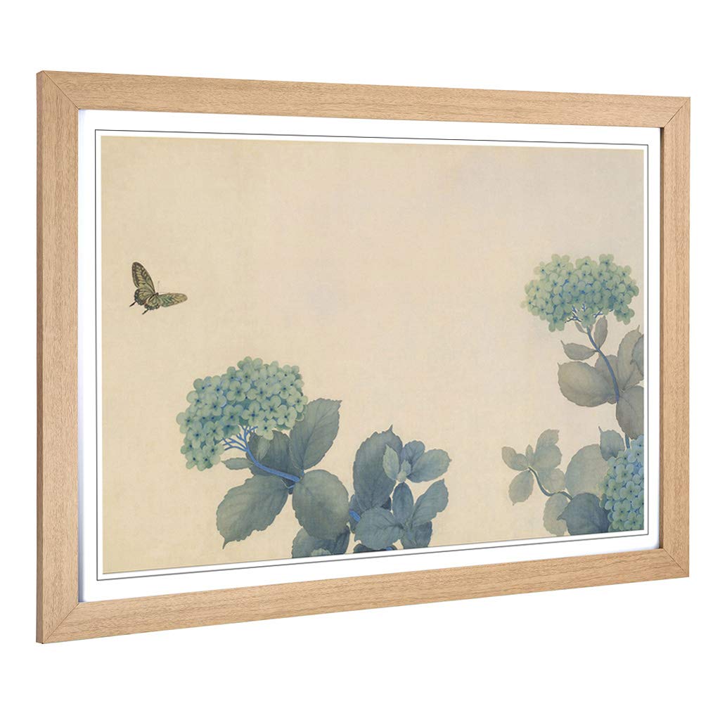 Big Box Art Framed Print of Hishida Shunso Hydrangeas Butterfly Oriental Design | Wall Art Picture | Home Decor for Kitchen, Living Room, Bedroom, Hallway, Oak, A2 / 24.5x18 Inch / 62x45cm