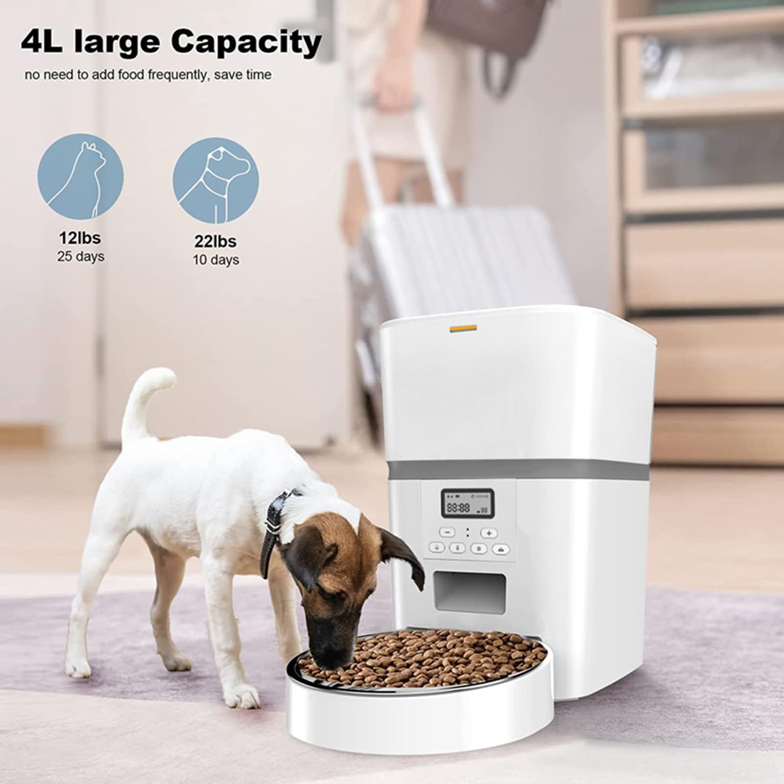 Alimentador automático para Gatos, dispensador automático Inteligente de Comida para Gatos de 4 litros con Pantalla LCD para una fácil configuración, grabadora de Voz, diseño sin obstrucciones