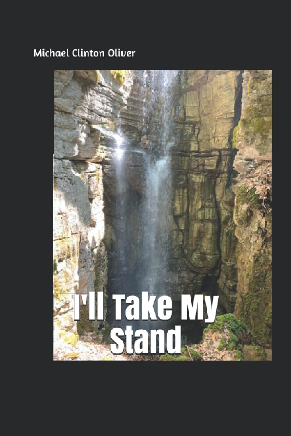I'll Take My Stand