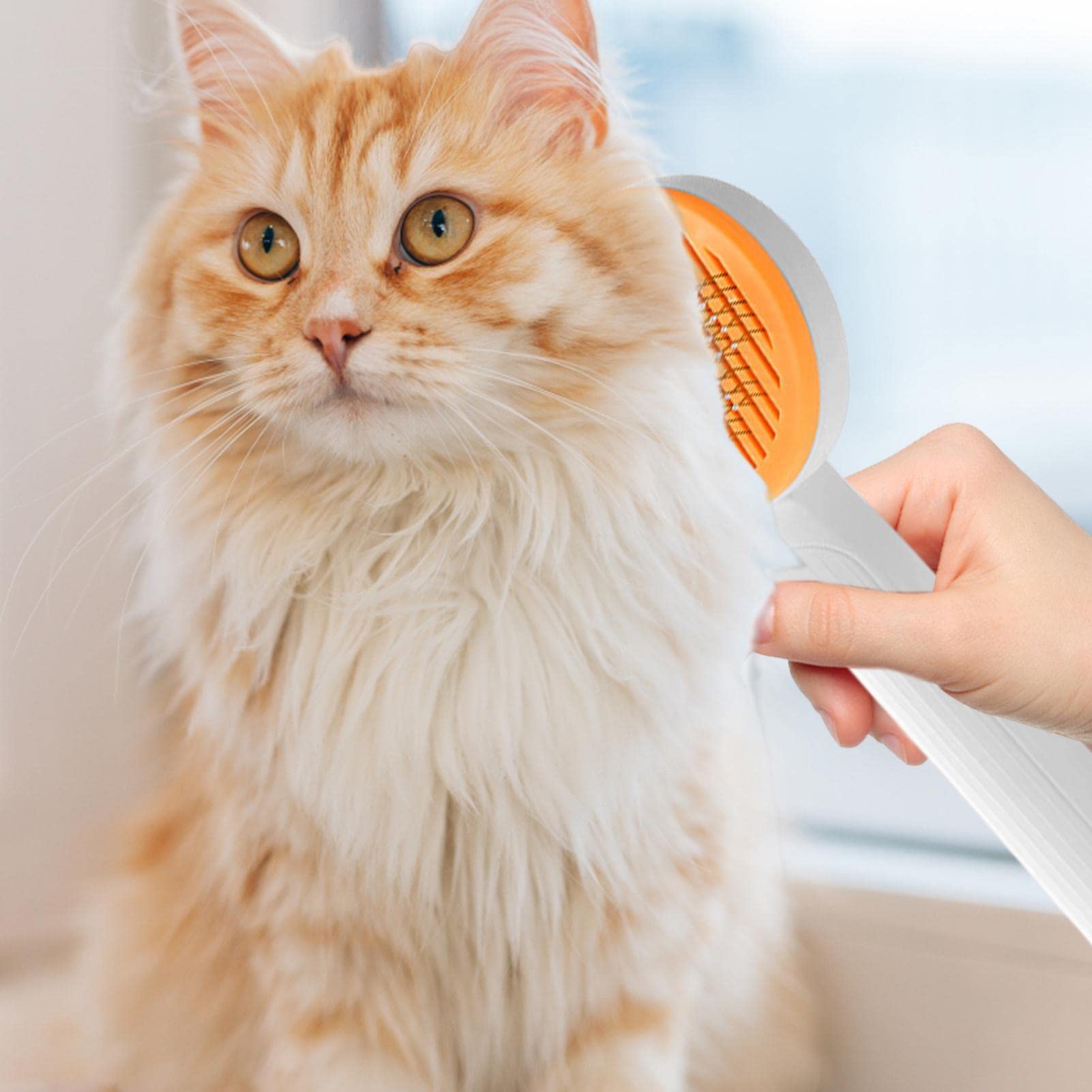 IDOBLO Cat Brushes for Indoor Cats, Dog Grooming Brush, One-Click Cleaning  Cat Brush for Long or Short-Haired Cats, Cat Comb for Kittens, Rabbits,  Removes Loose Fur : Amazon.co.uk: Pet Supplies