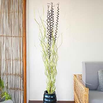 61KSOX44wcL._AC_UF350,