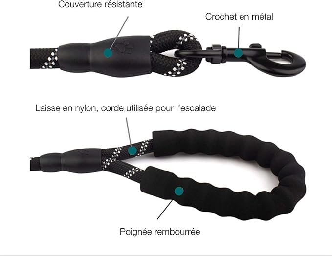 Laisse pour Chien en Nylon avec poignée rembourrée Ergonomique 1,50m Noire Hobby Tech
