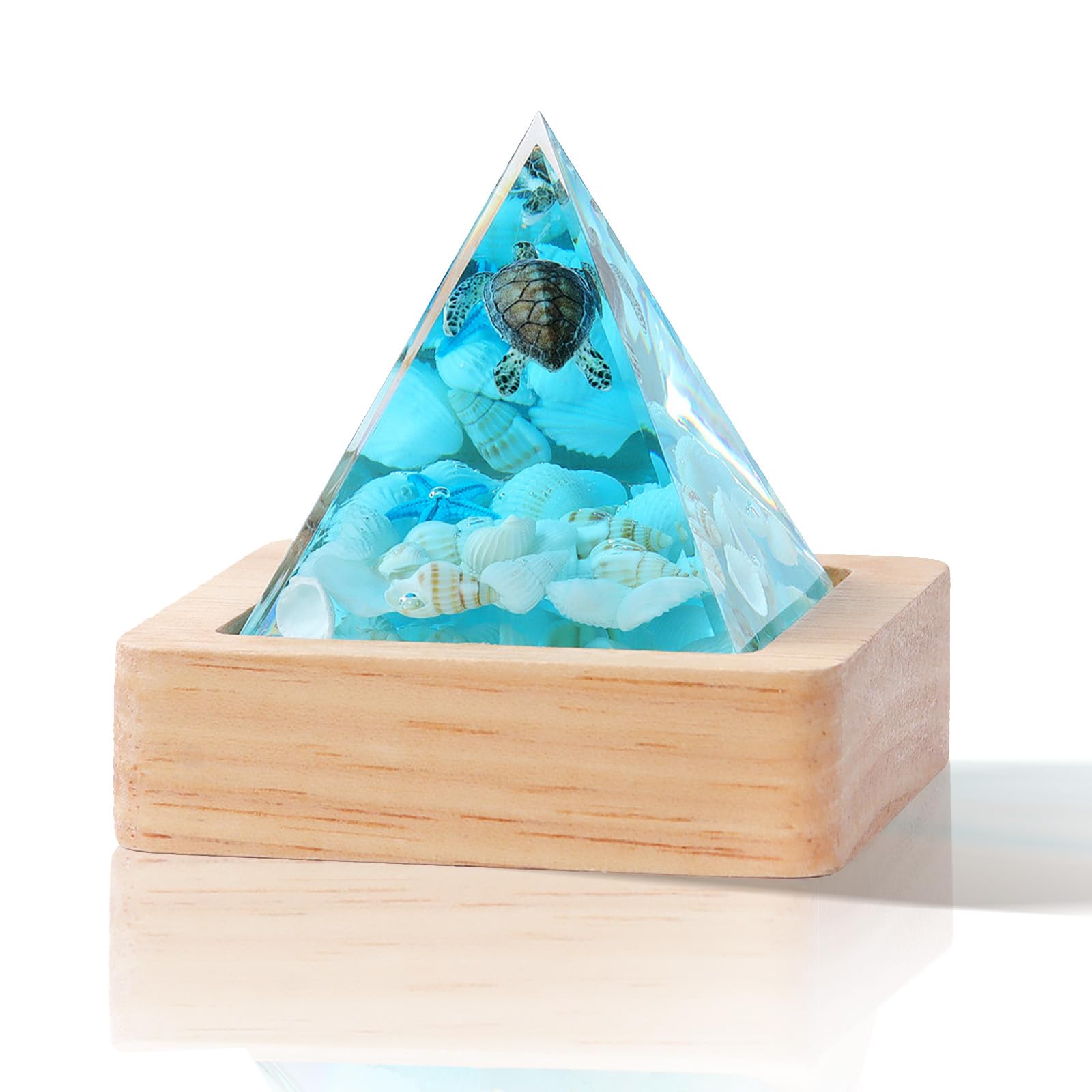 Dachsy Sea Turtle Jellyfish Shark Whale Pyramid Resin Ocean Lamp, Shark Night Light, Conch Starfish Shells Novelty Desk Lamp, Diver Night Light, Unique Gifts for Girlfriend Office Home (A)
