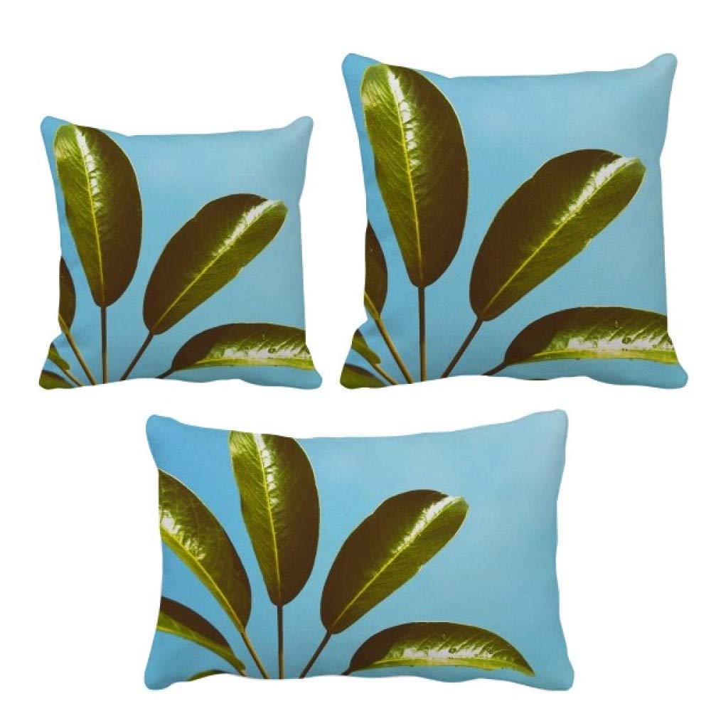 Housse de coussin feuilles ciel bleu pour masquer coussins usés