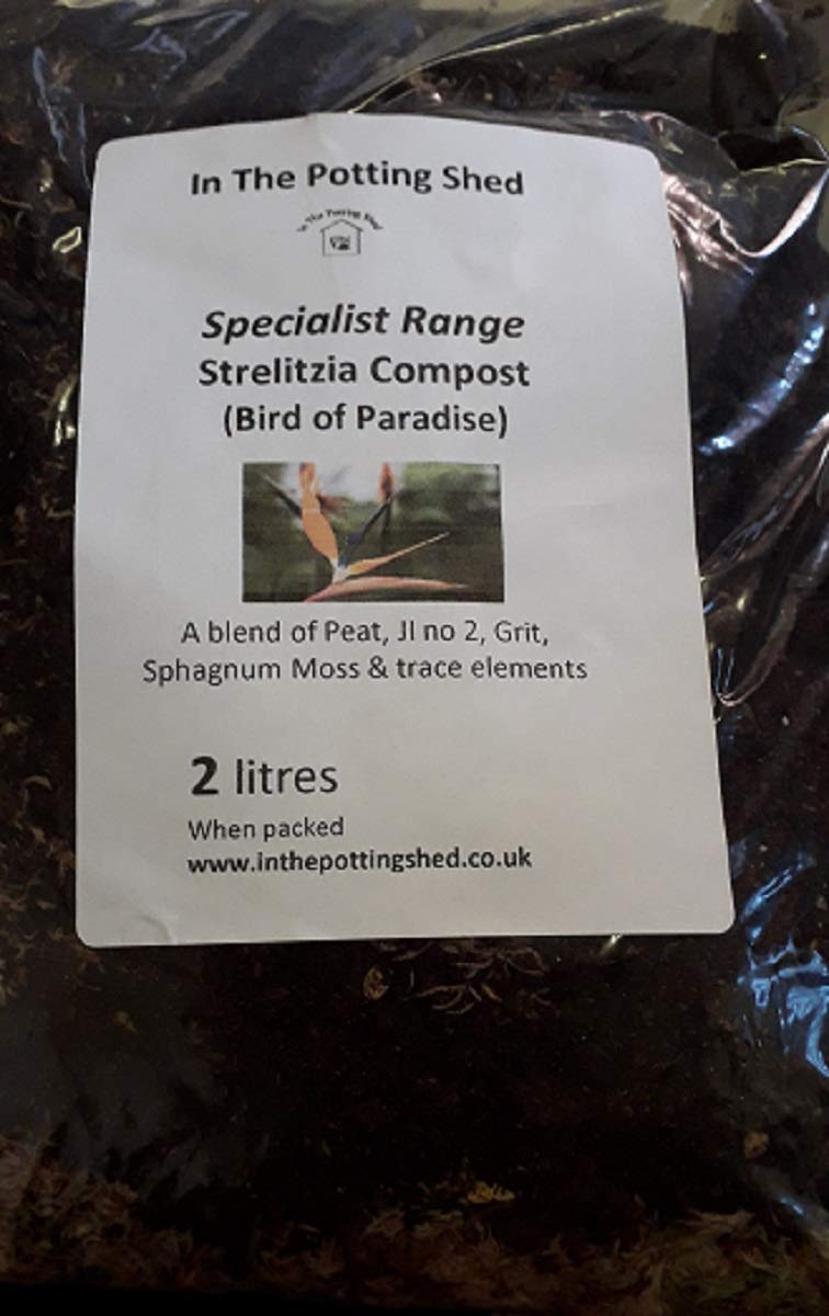 Strelitzia (Bird of Paradise) Compost (1)