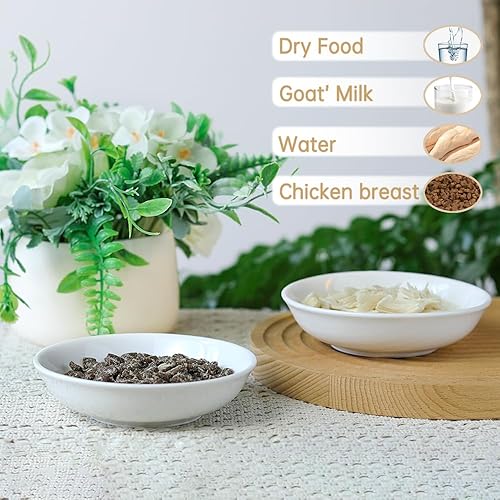 Miniatura 4 de HAPPY KIT 2 piezas Cuencos Pequeños para Gatos, Cuenco de Comida para Gatos de 5 Pulgadas para Gatos de Interior, Lindo Juego de Platos/Plato/Platos