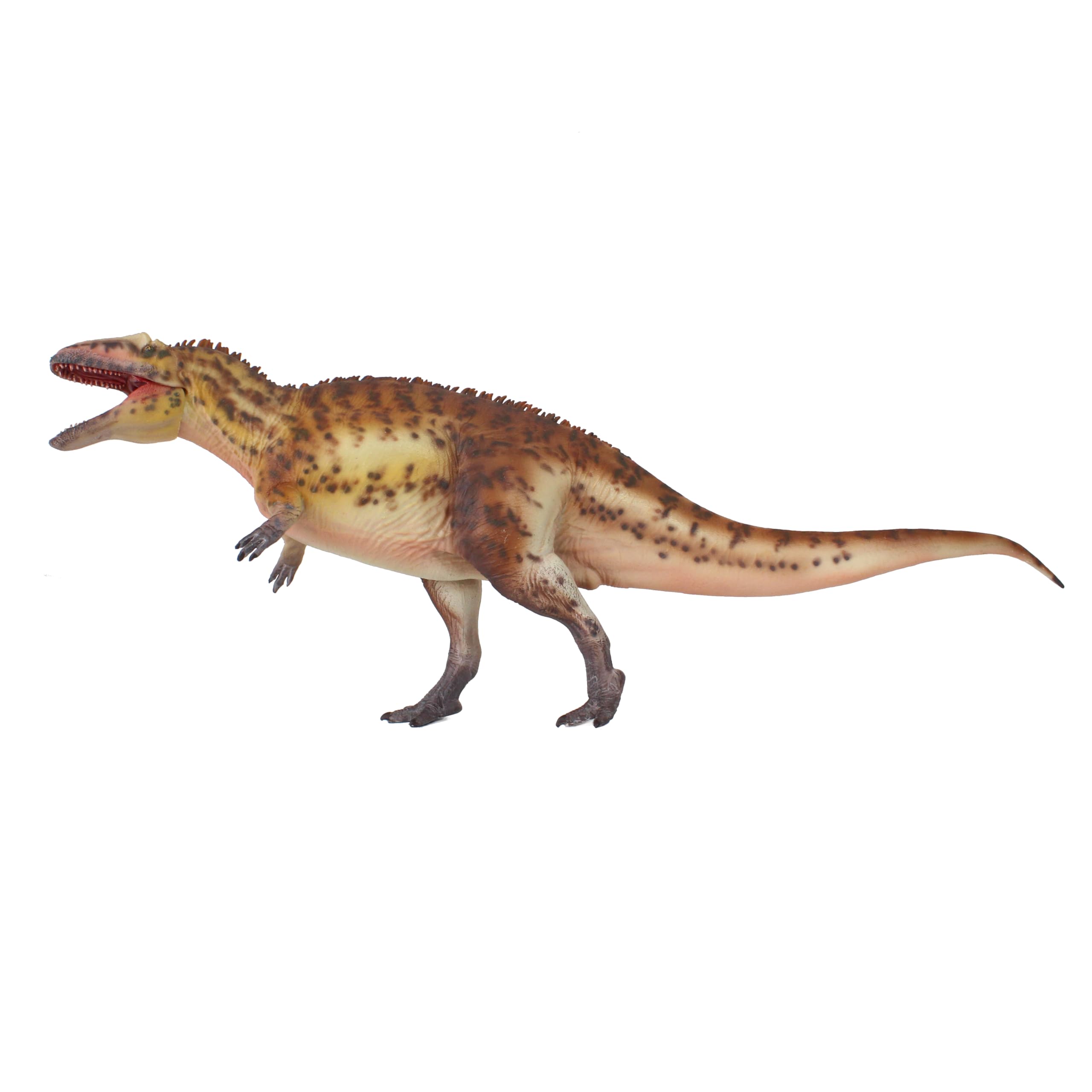 Acrocanthosaurus 1:35 AMITD modèle figurine dinosaure Dong Ping