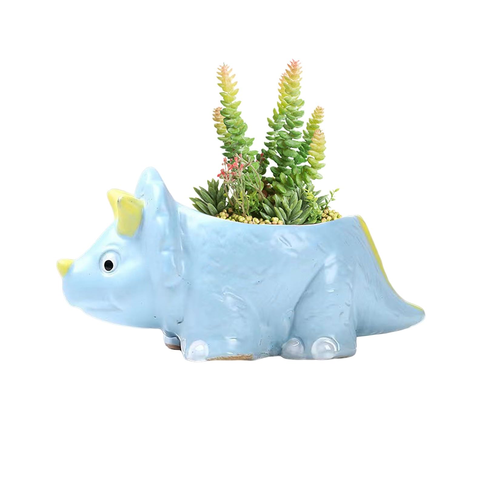 Vasi piante grasse - Vasi per piante grasse a vasi, cestini e fioriere per pianteVaso per bonsai » acquista Vasi per bonsai online su LivingoVasi Per Piante Grasse su