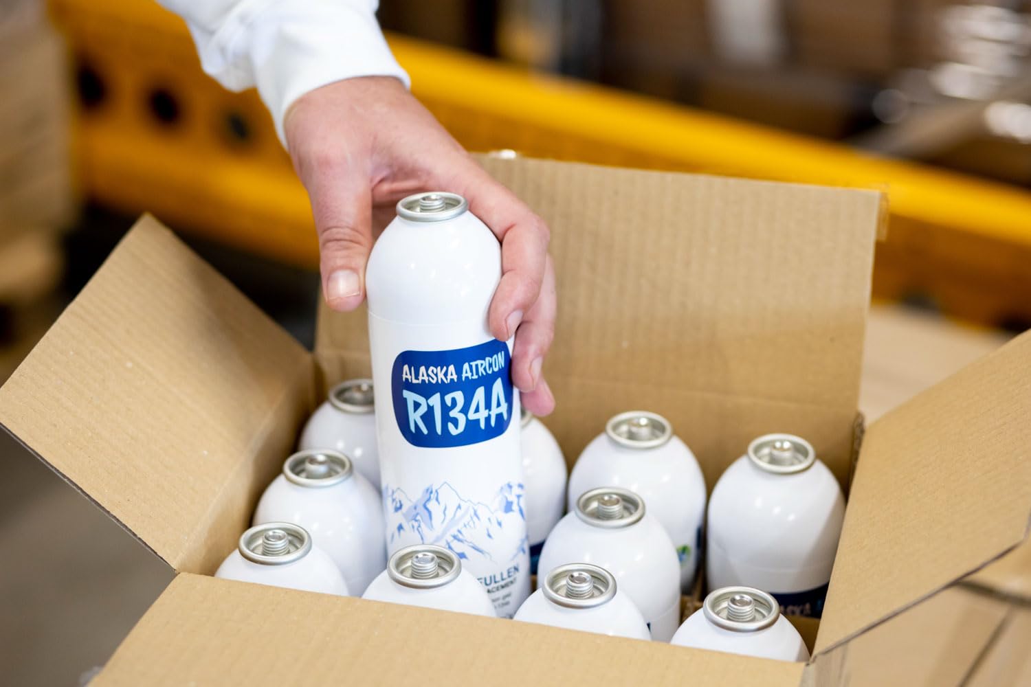 Double Kit – 3in1 Alaska Refrigerants R134a Ersatzkältemittel mit PAG 100 Öl und Dichtmittel + Schlauch & Manometer