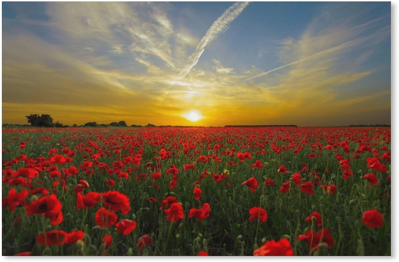 Sonnenuntergang, Mohnblumen, Puzzle 2000 Teile für Erwachsene, klassisches Puzzle, Kinderpuzzle, anspruchsvolle und schwierige Puzzles für Erwachsene und Jugendliche, 70 x 100 cm