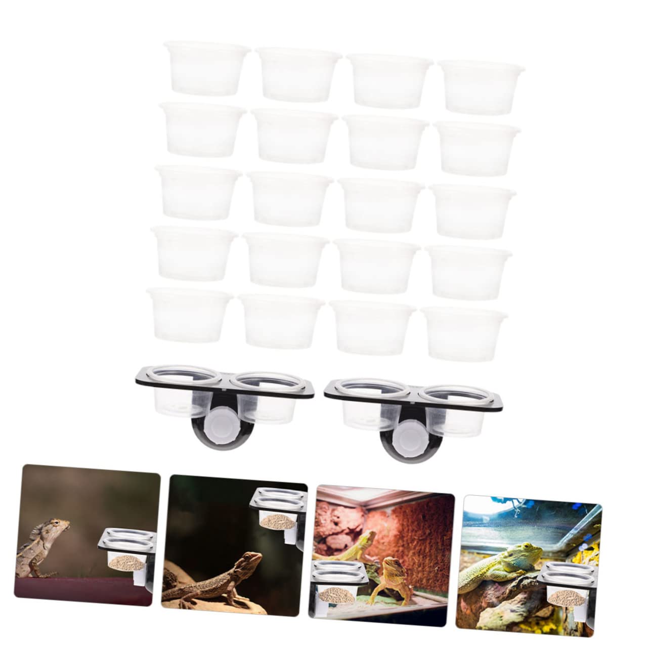 BESPORTBLE 5sets Accessori per Rettili con Vassoio Alimentare e Ventosa per Geco e Altri Rettili Facile da Pulire e Manutenere Colori Casual Pratico e Funzionale
