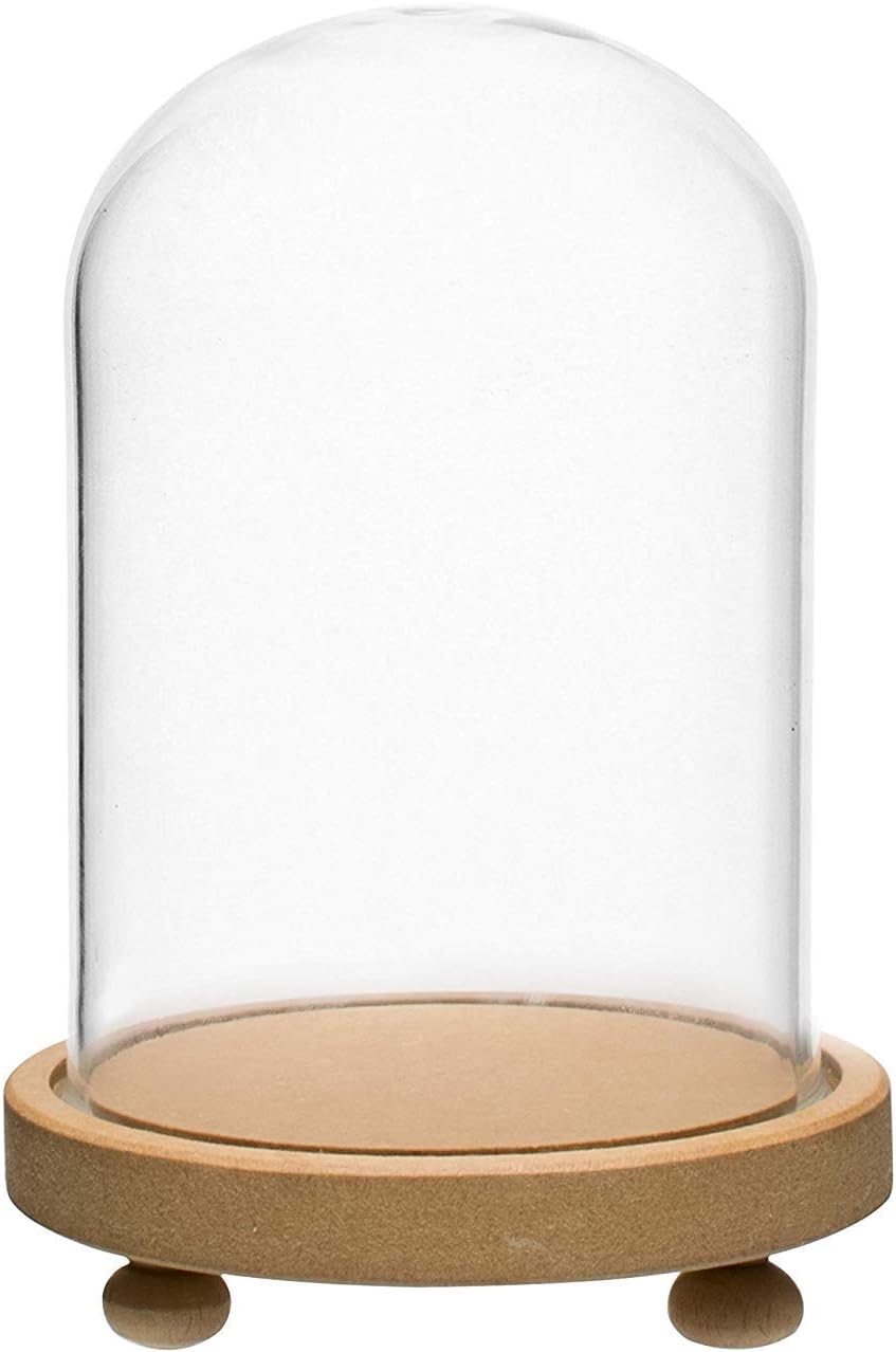 Decorative Clear Borosilicate Glass Bell Jar with Round Lacquered Wood Base – Elegant Tabletop Dome Display Case for Home Decor, Festive Centerpiece, Office & Living Room Decoration
