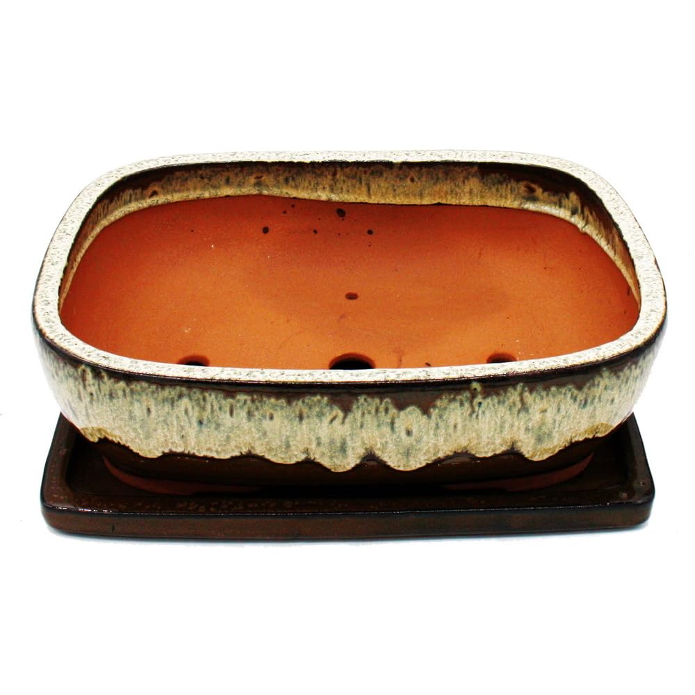 Exotenherz Bonsai-Schale Mit Unterteller Gr. 6 Blau Rechteckig  L 36cm B  27cm H 9cm