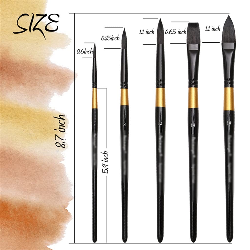 Juego de Pinceles de Acuarela con Pelo de Ardilla, Pinceles Profesionales para Acuarelas y Gouache, 5 Unidades