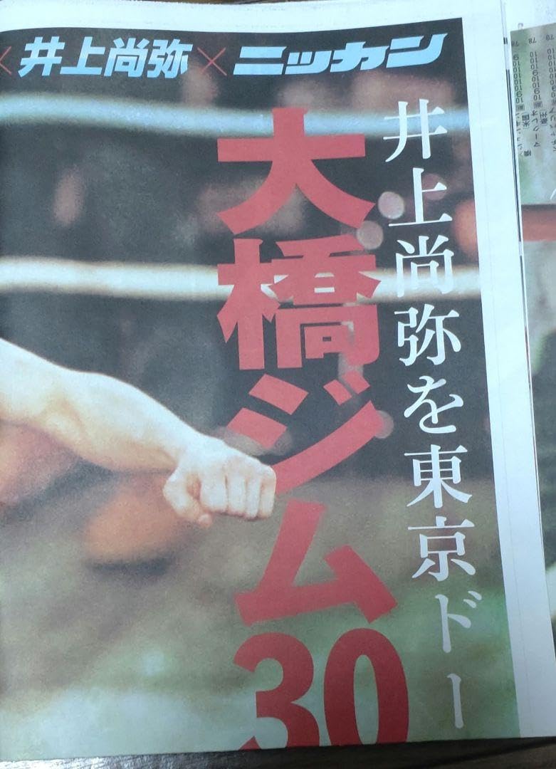 Amazon.co.jp: 井上尚弥vsルイスネリ戦のパンフレット＋大橋ジム