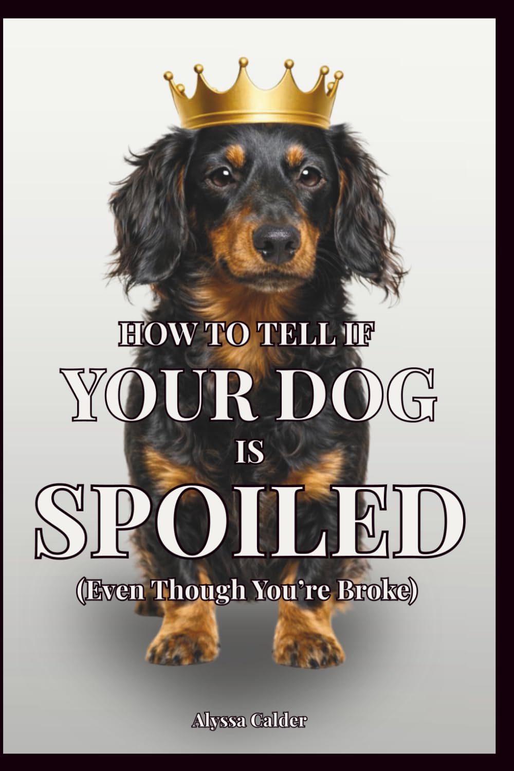 How To Tell If Your Dog is Spoiled (Even Though You’re Broke): A Satirical Guide to Life Under a Dog’s Rule