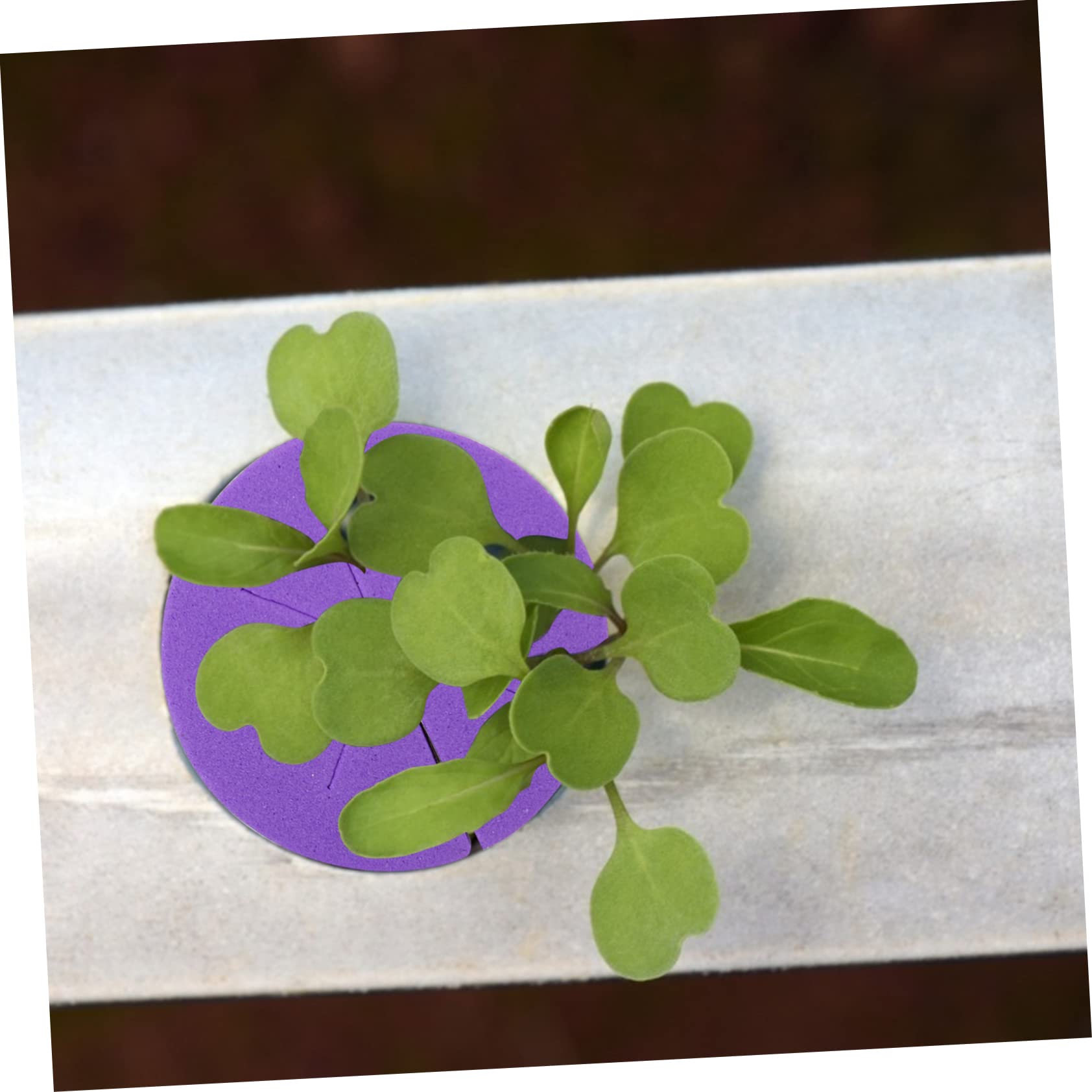 TOYANDONA Collares para Clones De Jardín Cultivo Sin Suelo, Bloques Redondos De Espuma Eva 120 Piezas, Esponja Transpirable Hidratante para Plantación Hidropónica y Trasplante Rápido