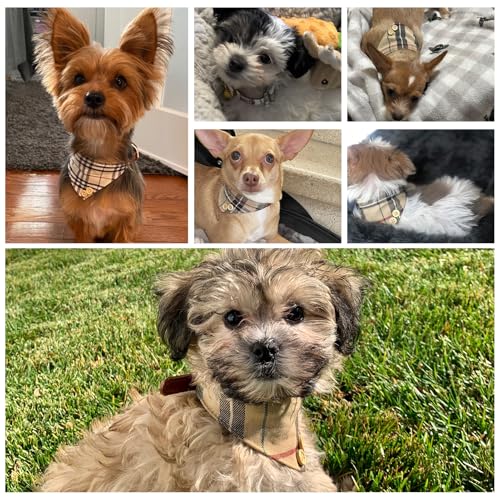 Image of EXPAWLORER Cute Dog Collar - 2 Pack Classic Plaid Puppy Bow Tie and Bandana Cat Collar with Bell, Adjustable for Small Medium Large Pets Holiday Ideal Gift, SM