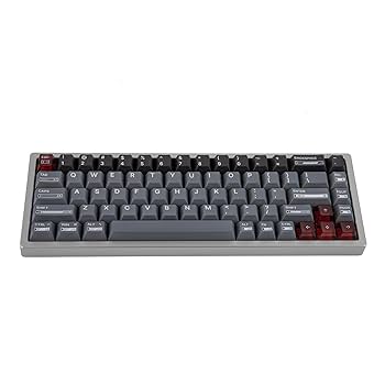 Amazon.com: MechLands Luminkey Magger 68 HE Wired Gaming