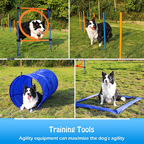 YON.SOU. Dog Agility Training Equipment, Obstacle Course Training, (with Dog Agility rods Jump& Hoops, Agility Tunnel Frisbee Training Whistle, Carrying Bag) (Dog Obstacle Tunnel New)