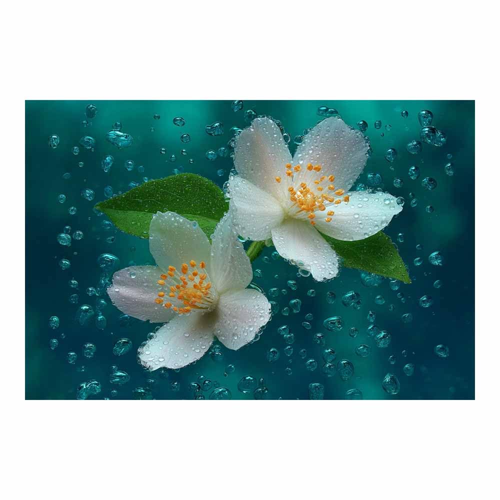 Xeniou Multicolor Flowers Canvas White Jasmine Flower Print Canvas Wall Art, For Living Room Bedroom Restaurant Home Office Wall Decoration(Multicolor)-80X120cm Unframed