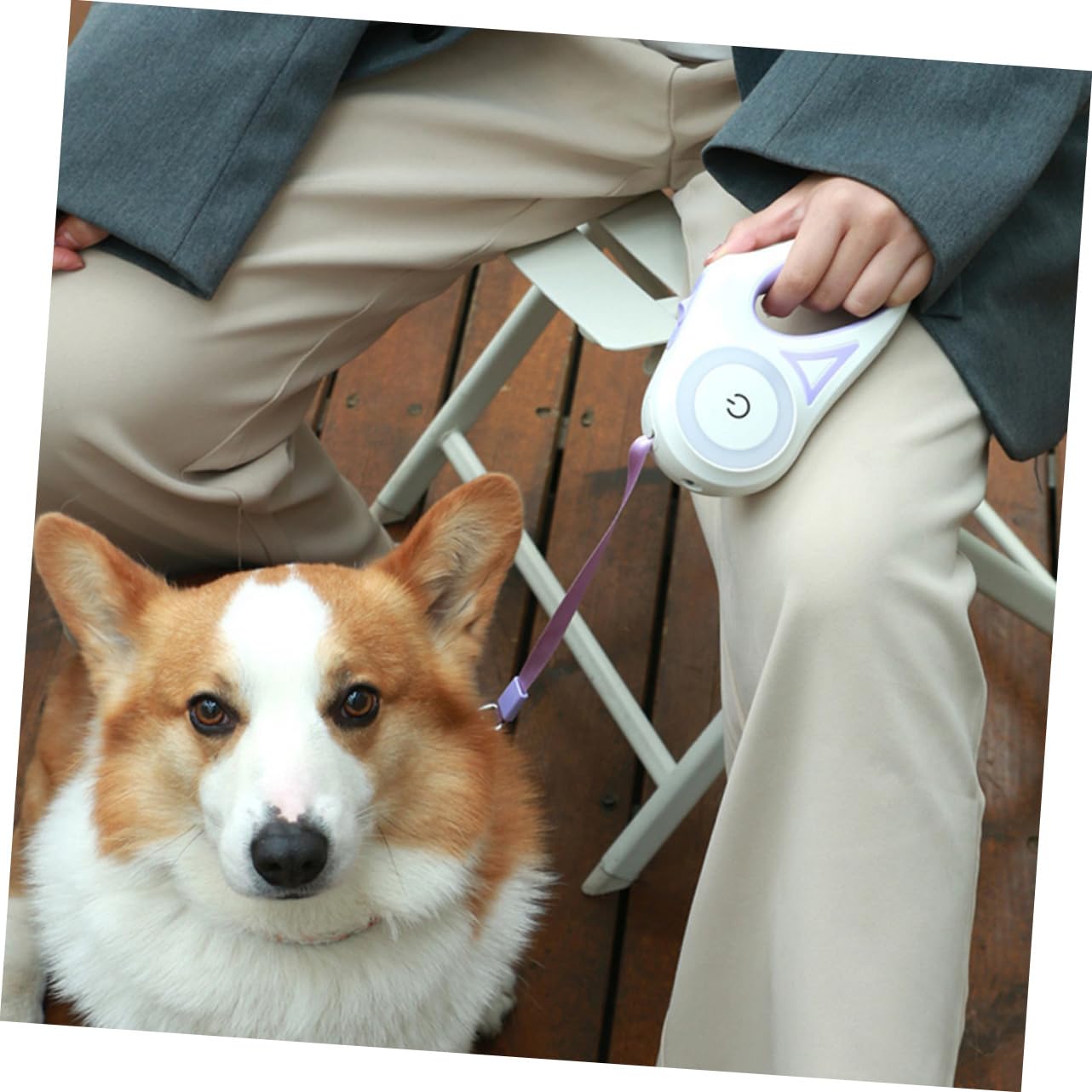 BESPORTBLE guinzaglio per animali domestici piccolo guinzaglio retrattile per cani legare il cavo e il paletto del cane guinzagli allungabili guinzaglio regolabile guinzaglio per cani AbS