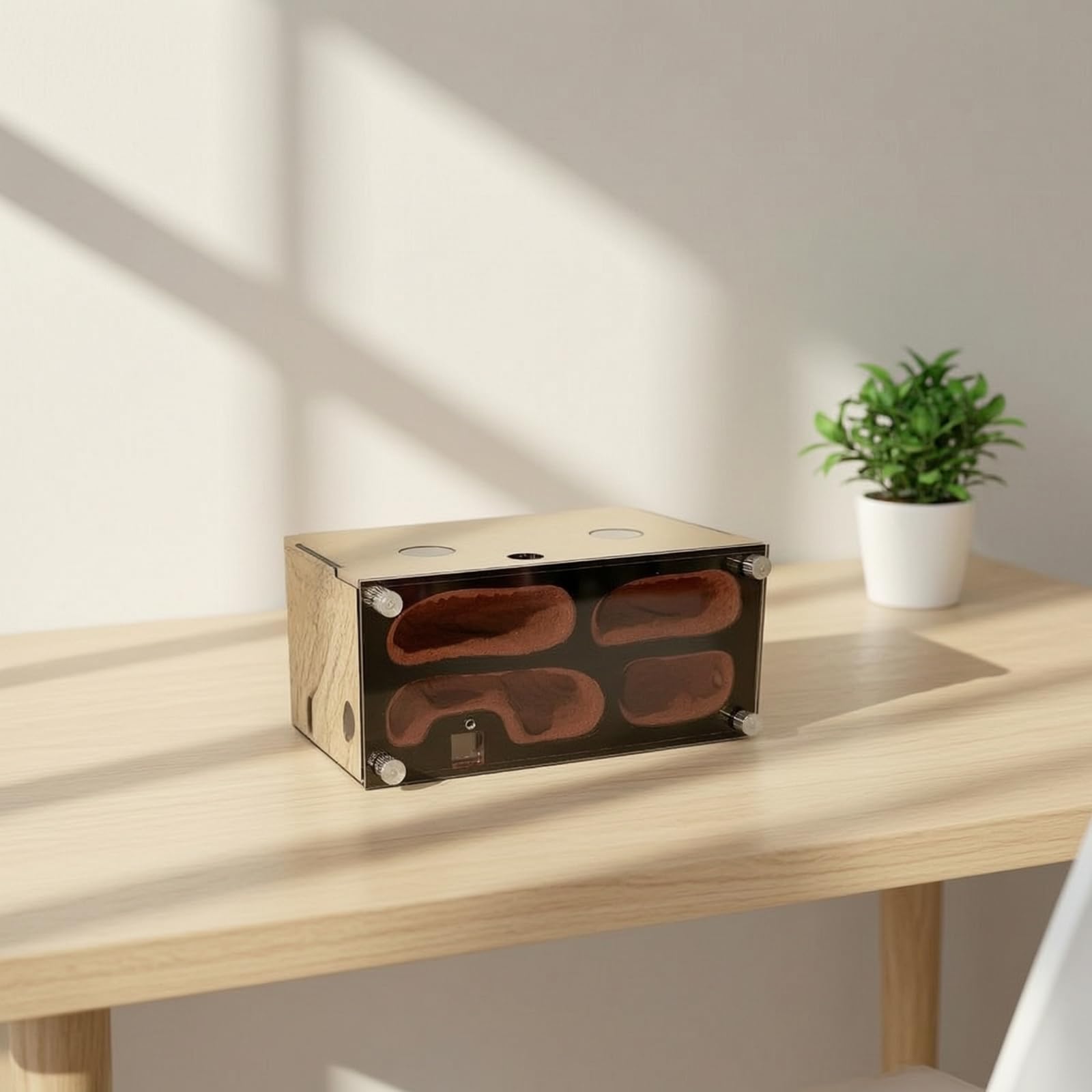 Formicaio in Acrilico Resistente Kit Nido di Formiche Non Tossico Habitat per Appassionati, Mirmecologi, Nido A Normale