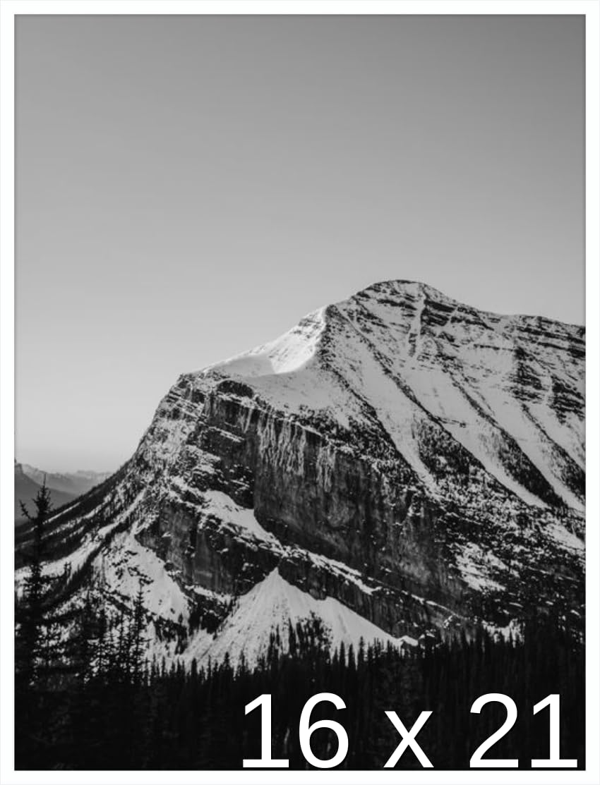 Frame It Easy 16 x 21 White Metal Frame (Ashford)