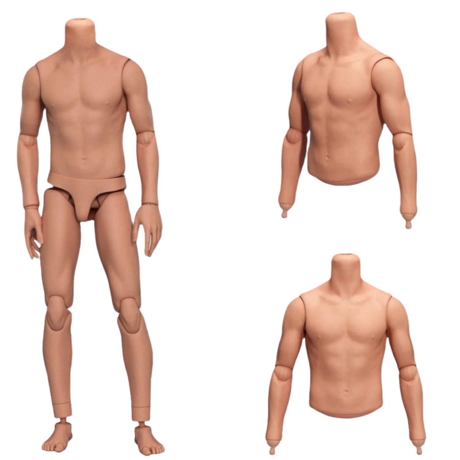 HiPlay MAHA Studio MH2405B Figura Corporal Masculina Musculosa - Tono de Piel Trigo (Bronceado) Figura de Acción en Escala 1/6