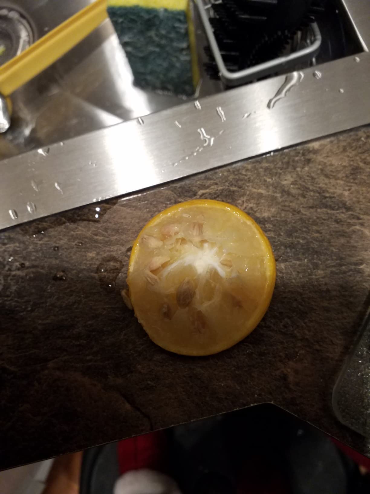 Easily squeezes lemons but a couple of pits do sometimes fall through