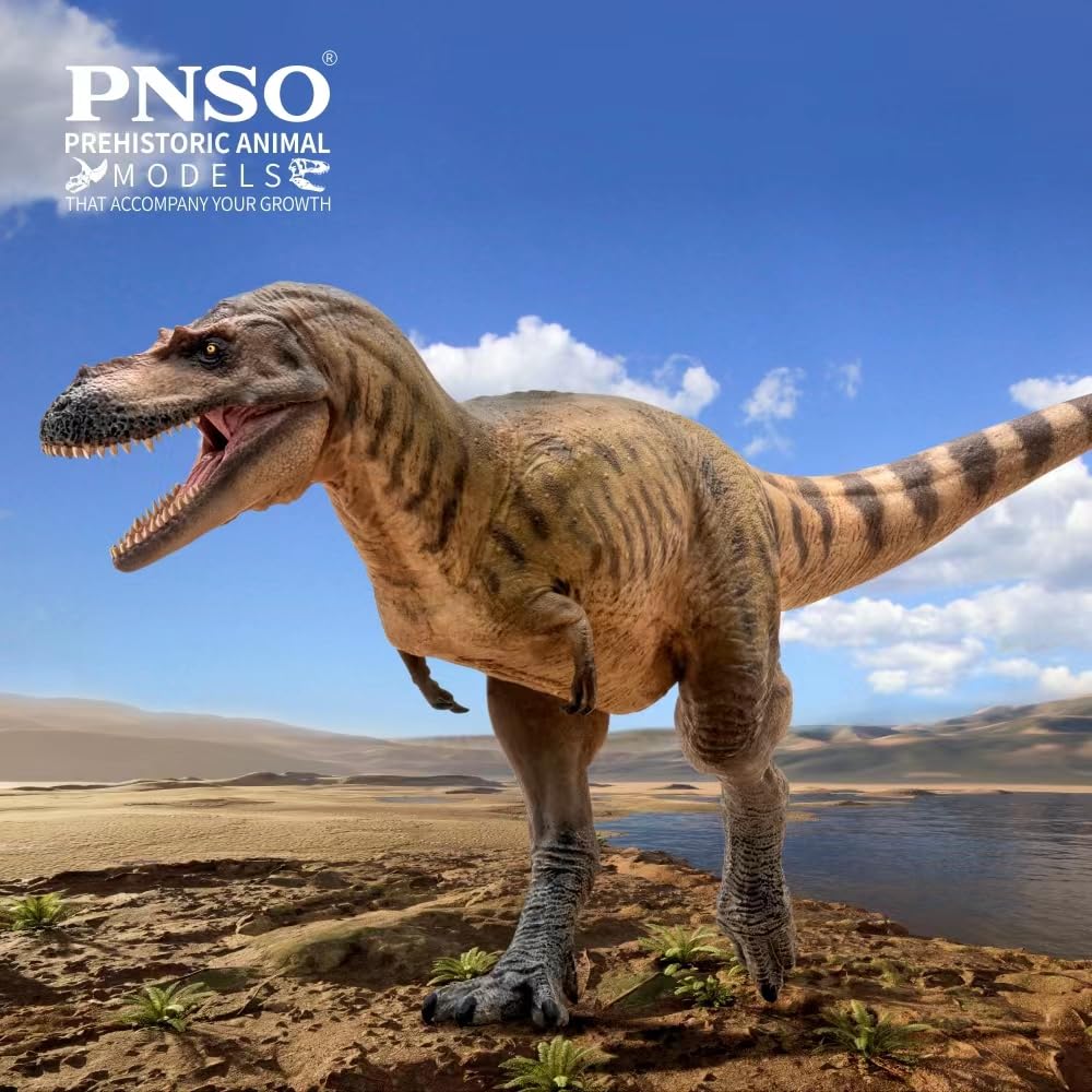 Amazon | BACALYSO | PNSO 成長シリーズ 72 アルバートサウルス