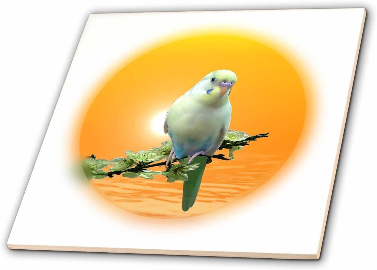 3dRose ct_44560_4 Golden Parakeet-Ceramic Tile, 12-Inch
