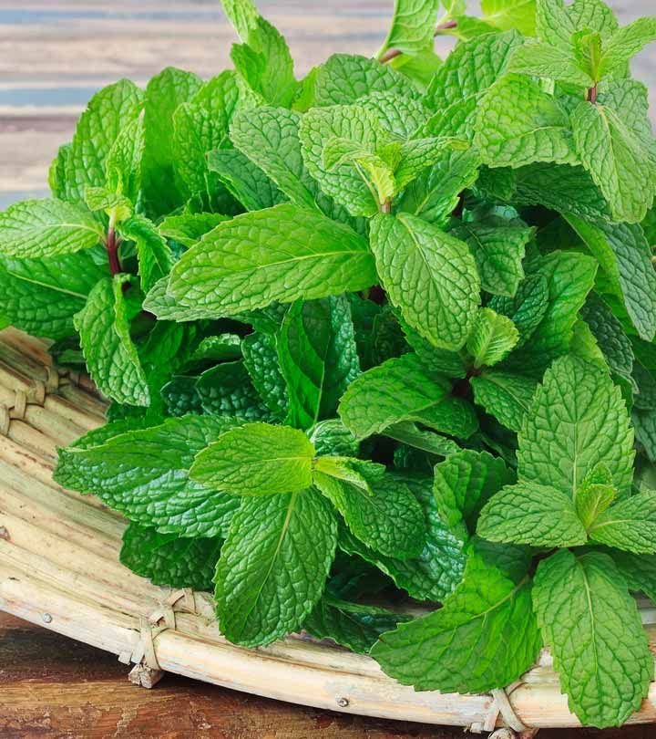 Diljeet SPICES 200Gm Podhina Powder |Peppermint Leaves (Without Stem -Hand Picked) - Image 4 thumbnail