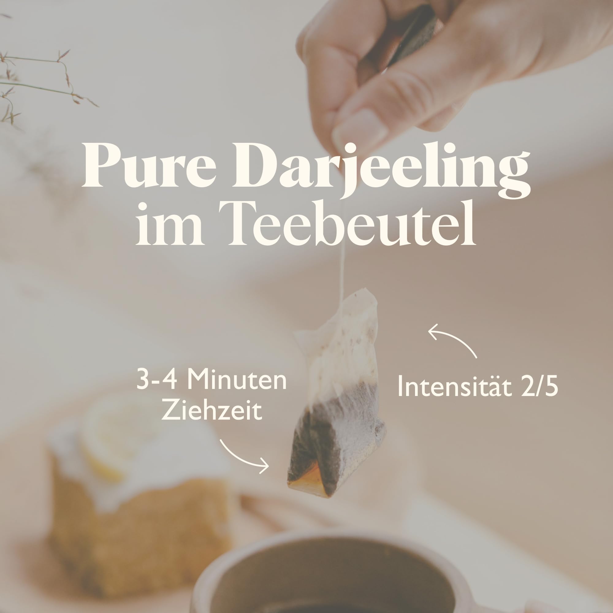 Twinings PURE DARJEELING Schwarzer Tee im Teebeutel - zarter Schwarztee mit einem Hauch Muskat, gepflückt in den Anbaugebieten der Himalaja-Region, 12er Pack (je 10 Beutel)